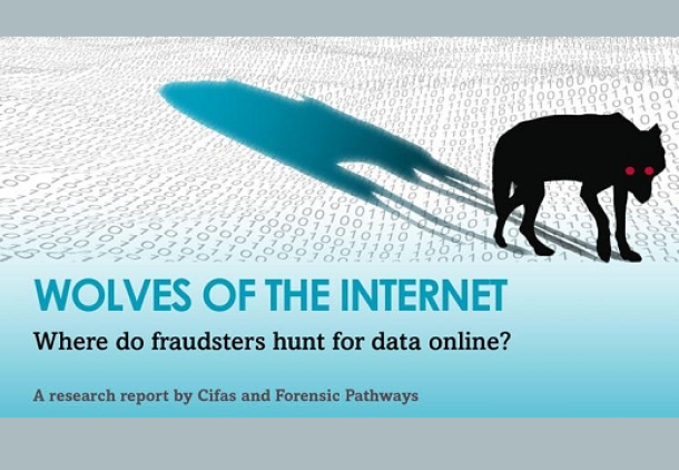 Read more about: Wolves of the Internet: Where do fraudsters hun...