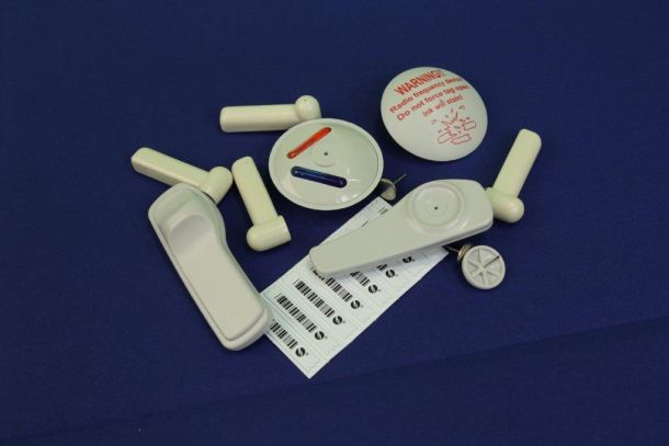 Read more about: College Releases Research into Retail Tagging